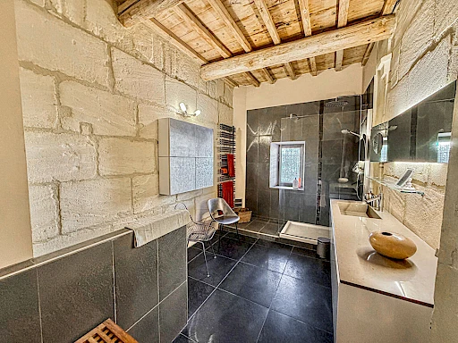 Maison Tarascon 11 pièce(s) 407 m2 - 11