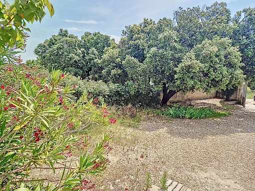 Maison Villeneuve les Avignon 5 pièce(s) 197 m2 sur  une parcelle d'environ 700 m². - 11