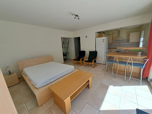 GRAND STUDIO MEUBLE 40 m²  AVEC TERRASSE + PARKING