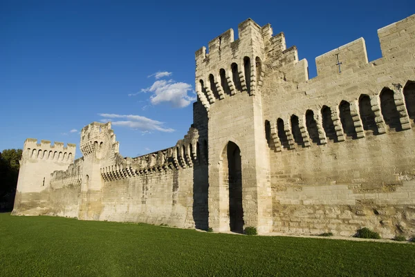 Le Tour des Remparts d'Avignon : Un événement sportif au cœur de la ville !
